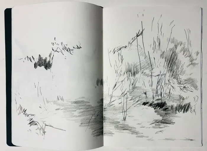 Stage de dessin autour de l’œuvre de Stéphanie Mansy