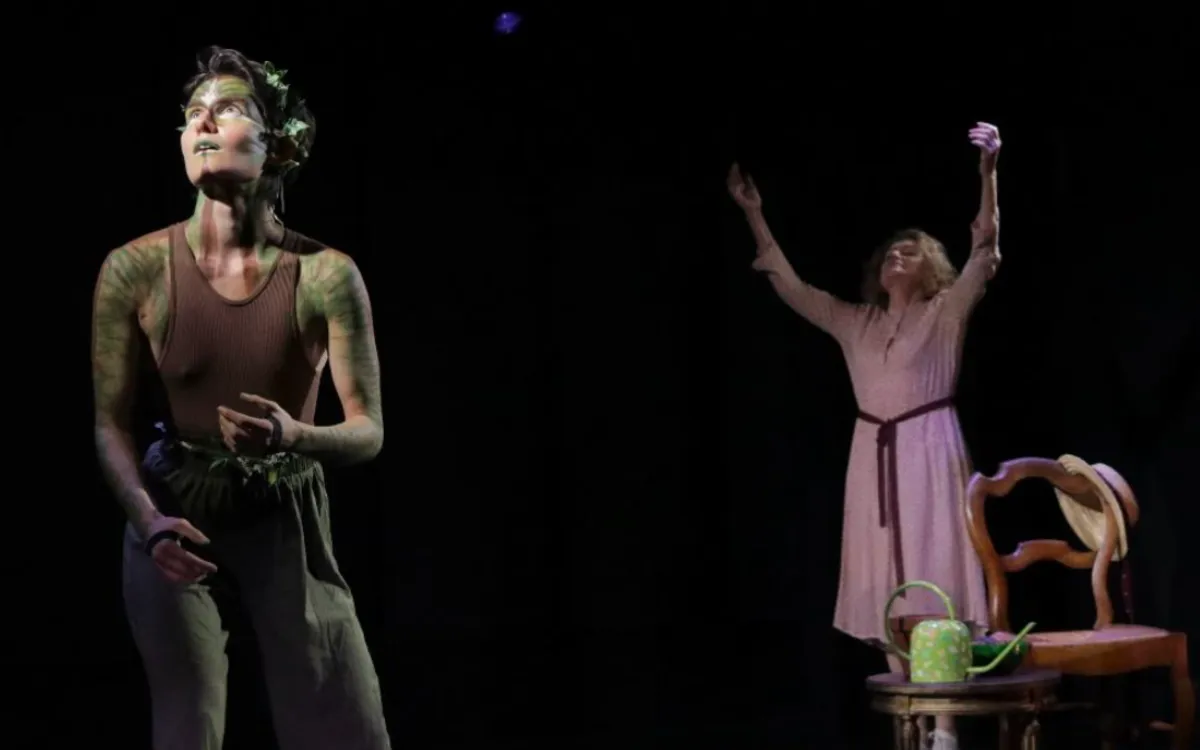Spectacle familial : Clémentine et Pensée de la forêt