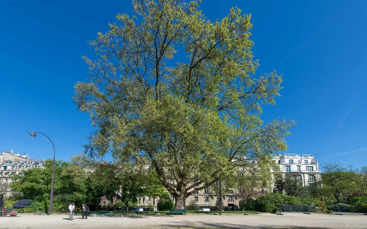 Visite Les jardins Avenue Foch