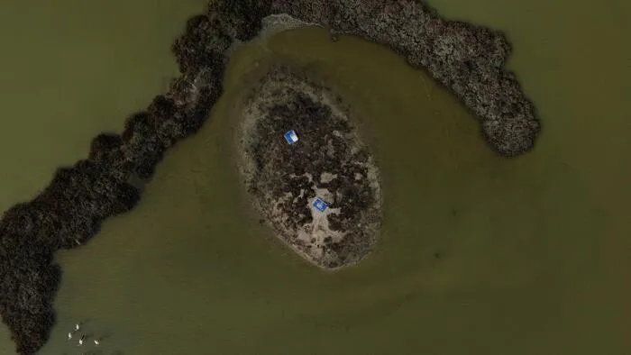 Visite du site naturel protégé des Salines de Villeneuve