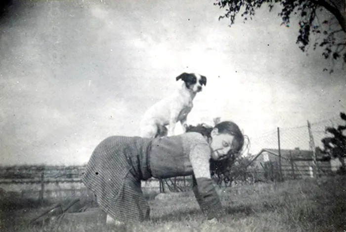 Exposition canine