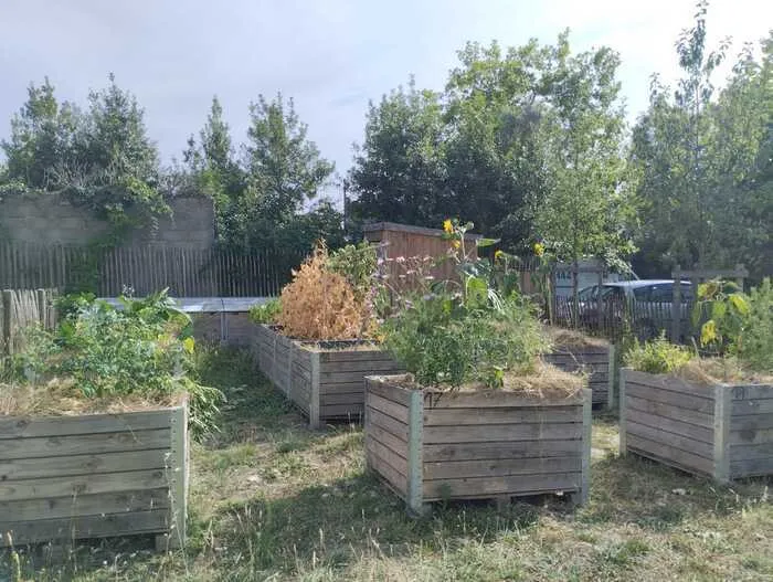 Atelier jardinage à Romain Rolland