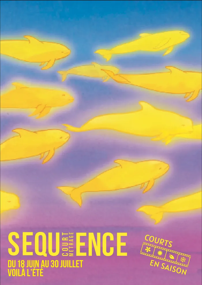FESTIVAL SEQUENCE COURT