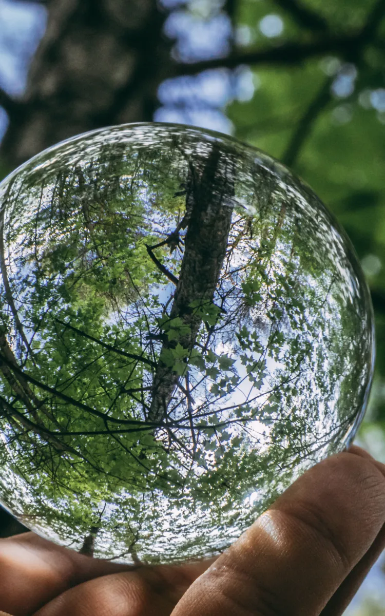 Des exemples inspirants de développement durable - discussion