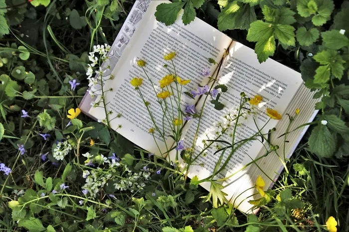 Club de lecture : les Tulalus