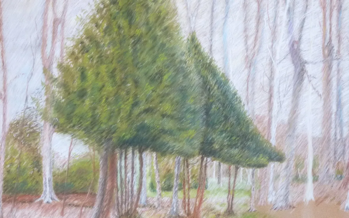 Stage de dessin