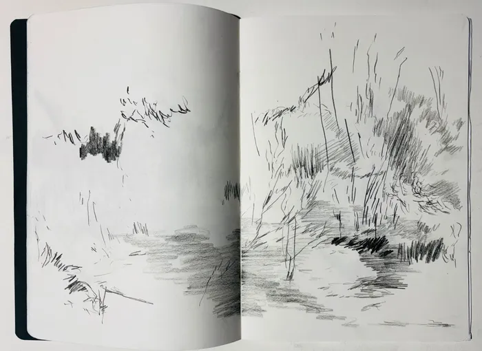 Stage : Le dessin comme espace d’exploration (séance 3/4)