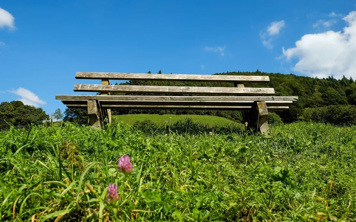 Conférence – Voyage contemplatif autour des merveilles de la nature