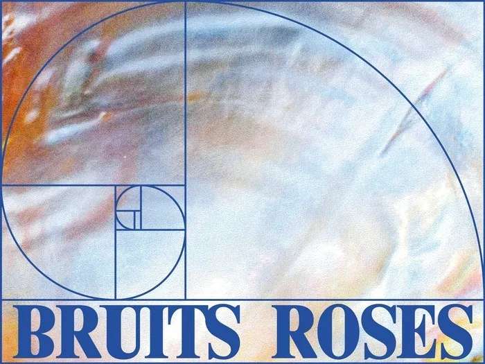 Podcast na3na3 en live - Festival Bruits Roses