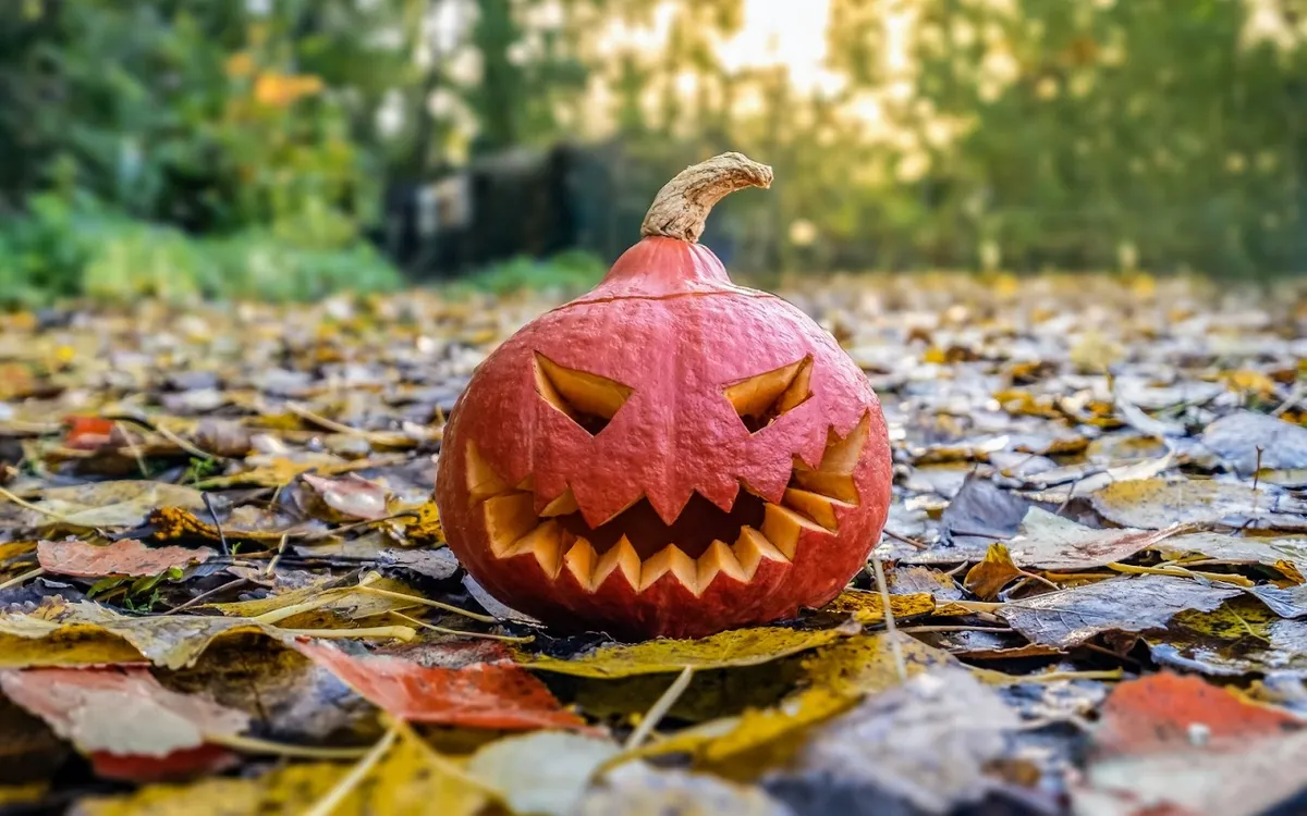 Halloween : le grand frisson