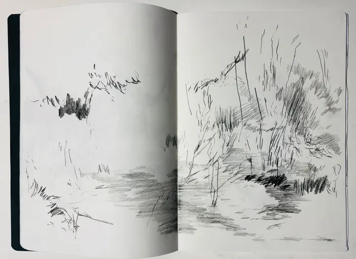 Stage : Le dessin comme espace d’exploration (séance 4/4)