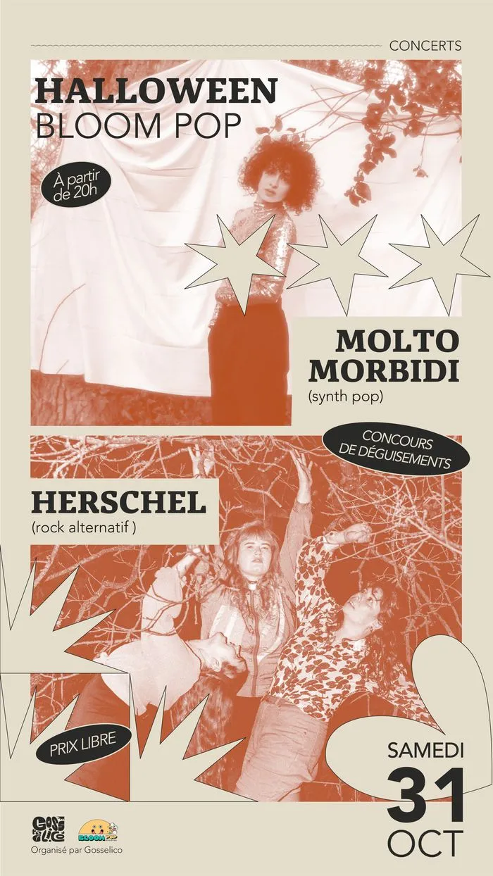 Halloween : Molto Morbidi + Herschel au Bloom Pop, Rennes - Ille-et-Vilaine