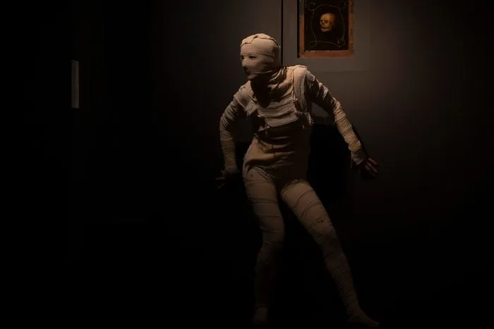 La nuit des ombres