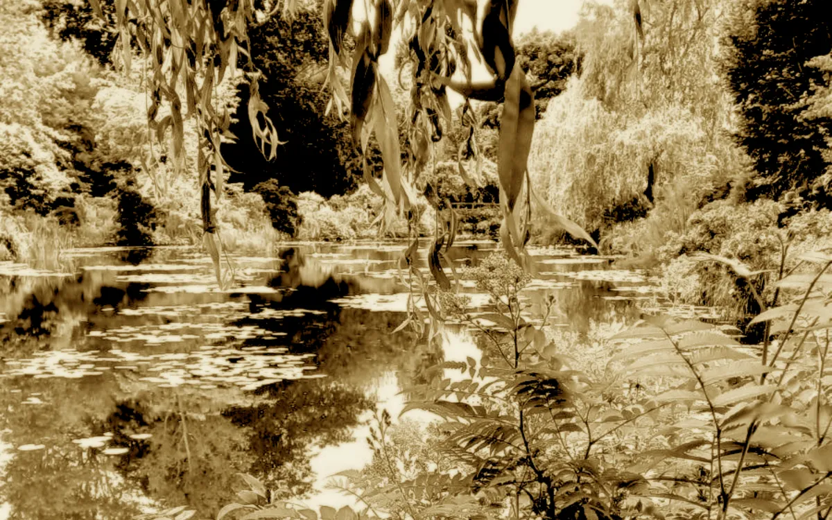Exposition Nymphaea imago est