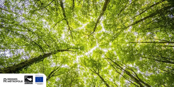 Sur les traces de la petite faune sauvage au Bois de Sœuvres