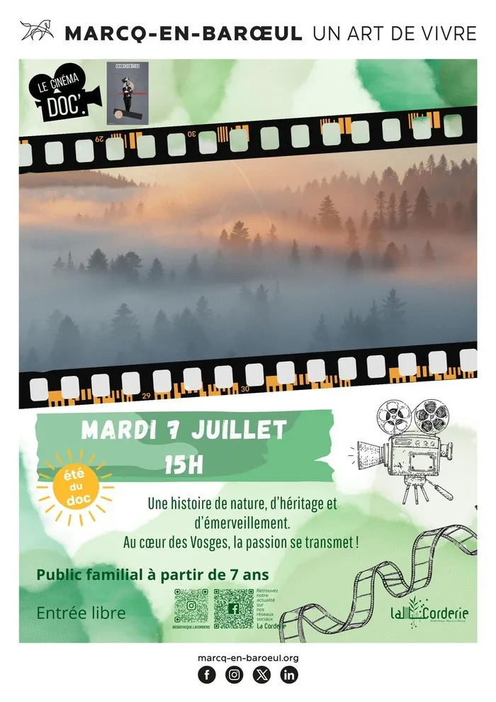 L'été du doc