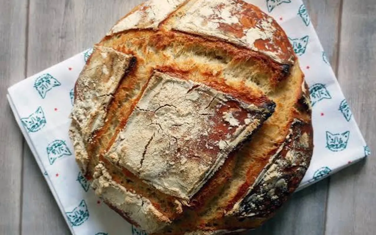 Stage Pain au levain